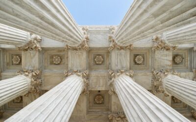 The Role of Elected Officials in Municipal Litigation
