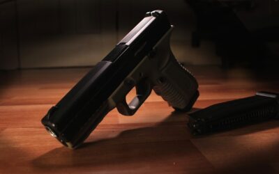 Possession of A Firearm by A Non-Violent Felon: Exploring Legal Complexities