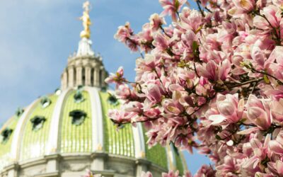 The Pennsylvania Sunshine Act: A Comprehensive Overview