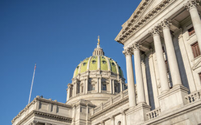 Governmental Immunity Isn’t Absolute: Common Misconceptions Among Local Officials